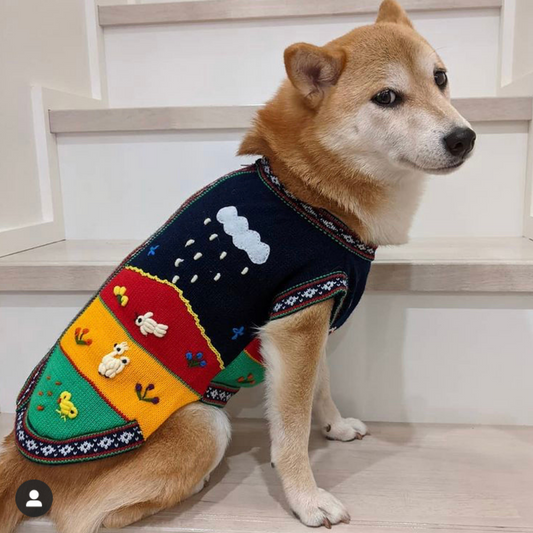 Size 12 Peruvian Dog Sweater