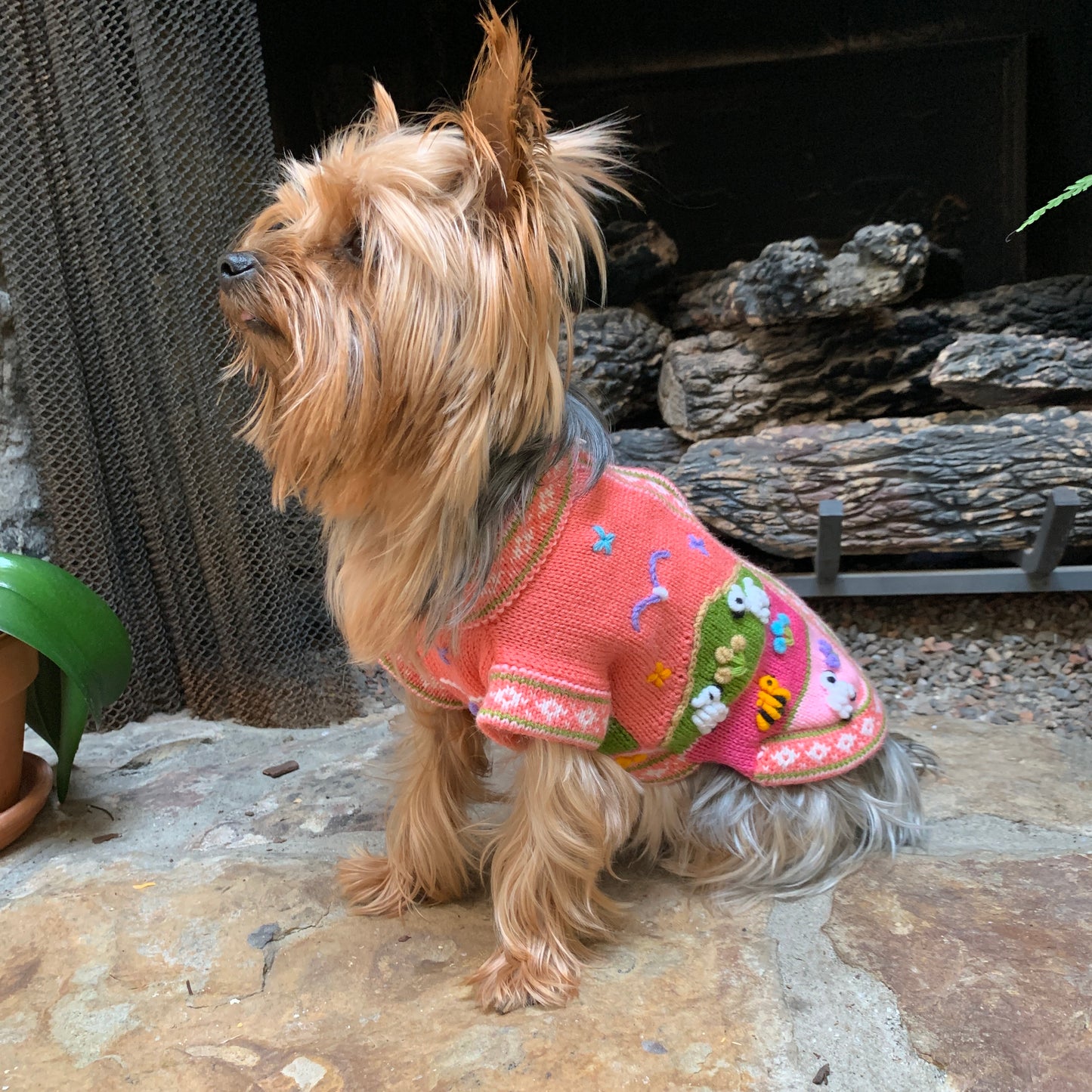 Size 6 Peruvian Dog Sweater
