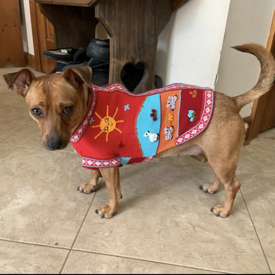 Size 10 Peruvian Dog Sweater