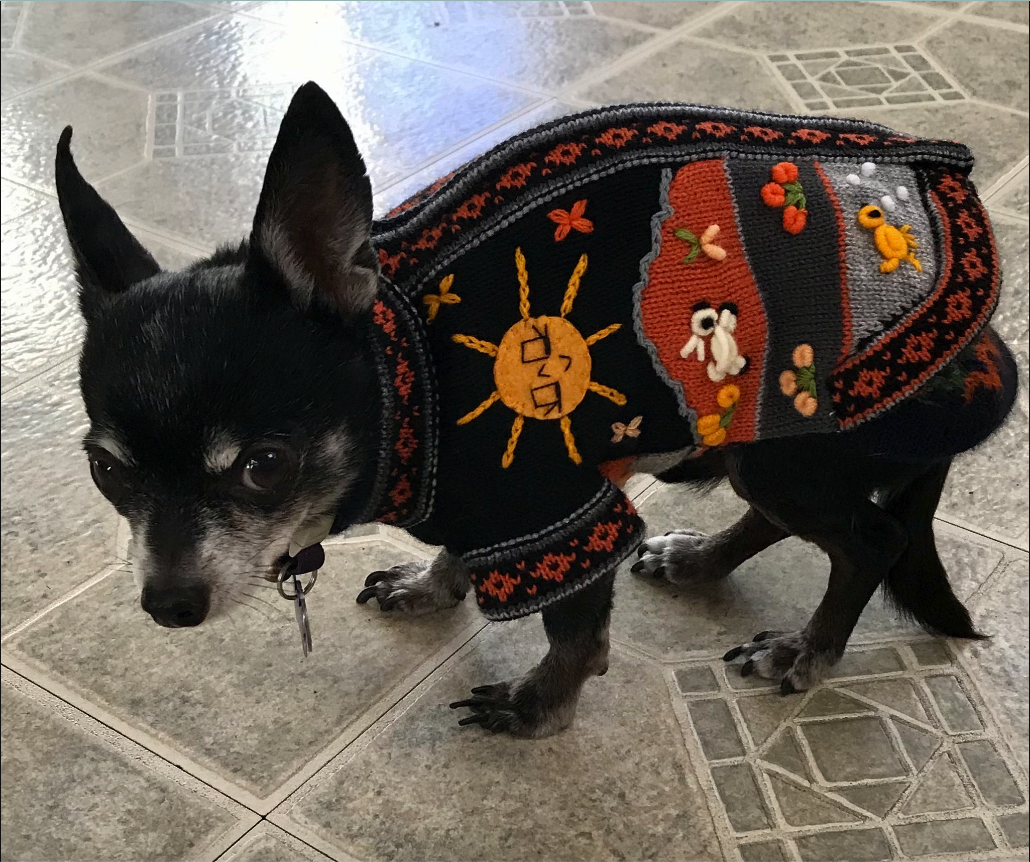 Size 0 Peruvian Dog Sweater