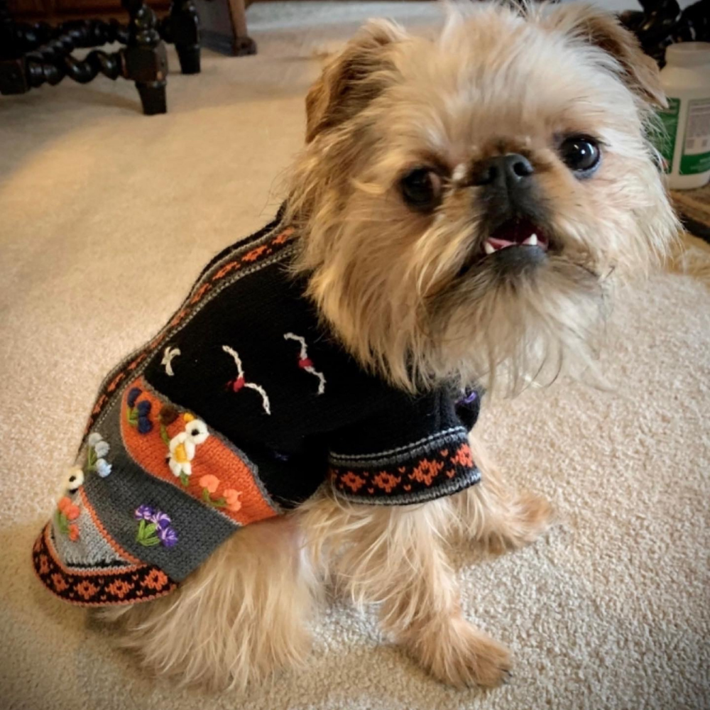 Size 4 Peruvian Dog Sweater