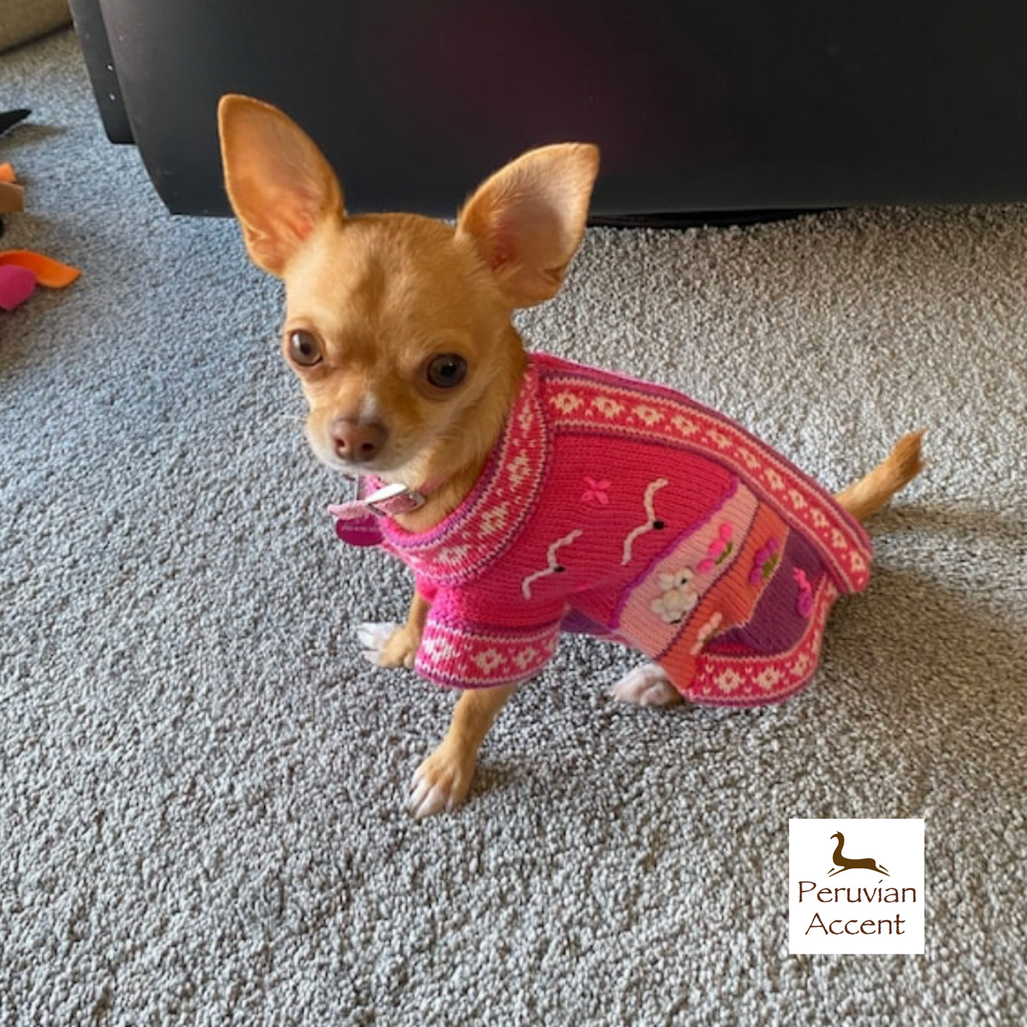 Size 0 Peruvian Dog Sweater